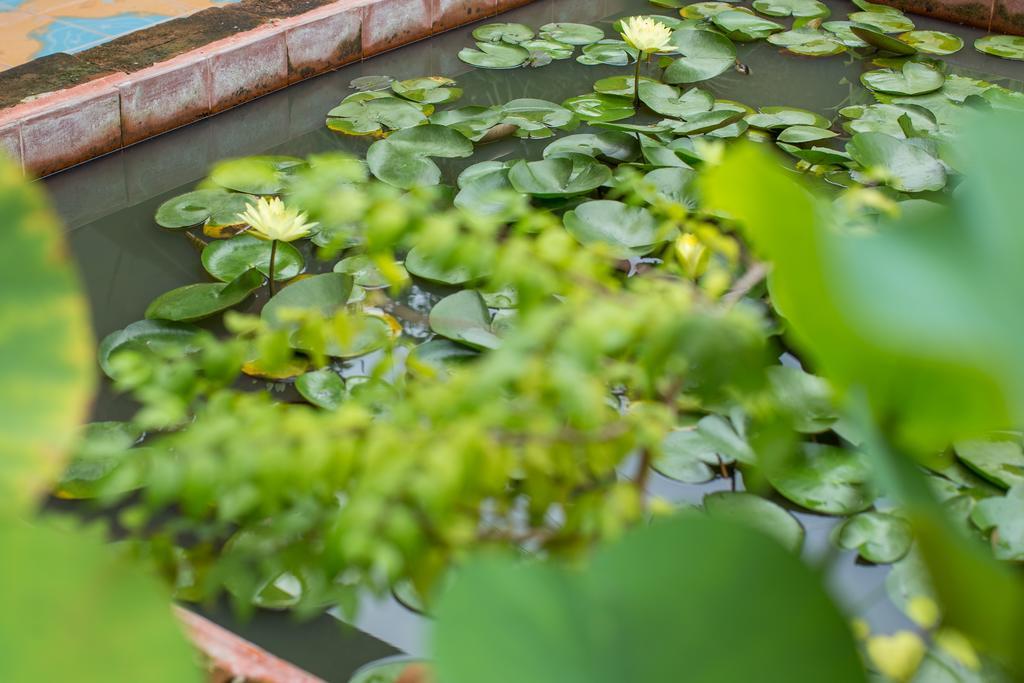Baan Are Gong Riverside Homestay Ayutthaya Eksteriør bilde
